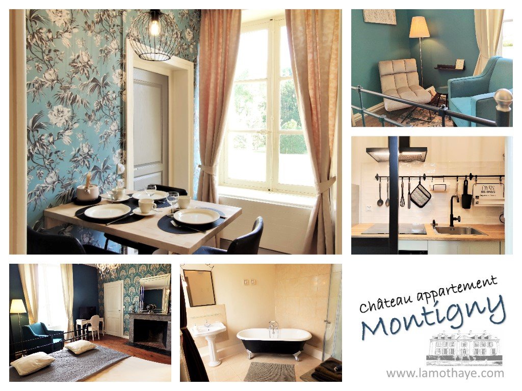 Chateau appartement Montigny - overview MQ