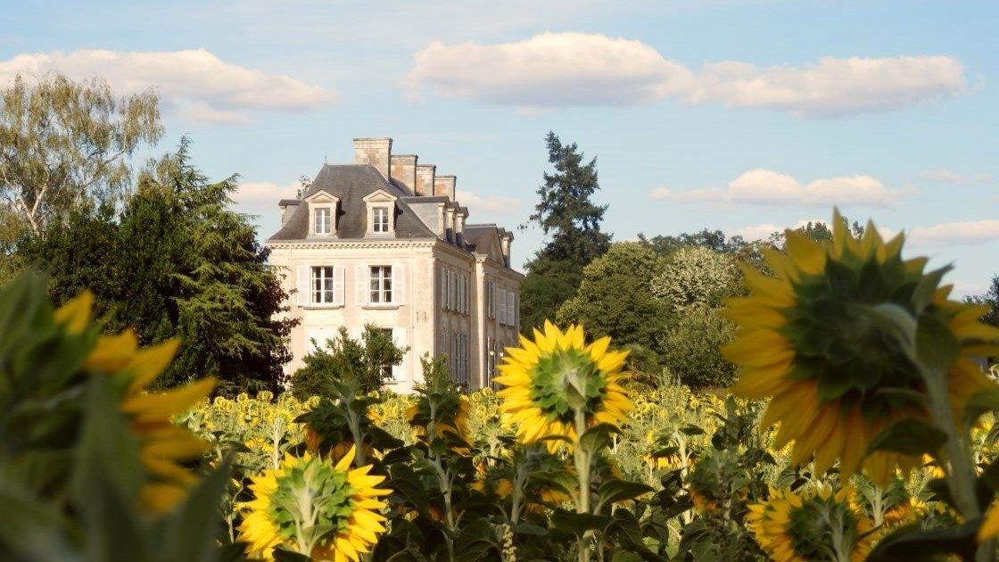 Chateau La Mothaye - appartement Loire vakantiehuis - zonnebloem